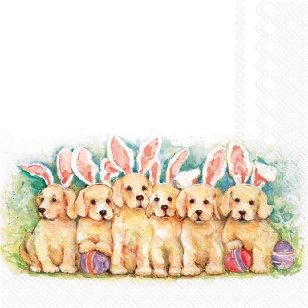 2 IHR 3-Ply Paper Napkins, 20-Count Lunch Size, Candy Dogs set of 2